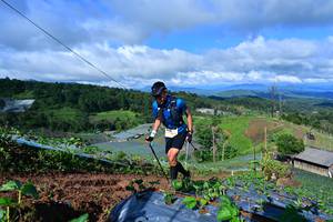 BIB: 
                            <button type="button" onclick="openModal(13379288)" class="btn btn-primary btn-sm float-right btn-popup" data-toggle="modal" data-target=".modal-high-quality">
                        <i class="fas fa-shopping-cart"></i> Add to Cart
                    </button>
                                            <button type="button" onclick="isThisMe(13379288, true)" class="btn btn-success btn-sm float-right btn-popup btn-isme hidden" data-toggle="tooltip" data-placement="bottom" title="นี่คือรูปของคุณใช่ไหม คลิกที่นี่เพื่อเอาเข้าอัลบั้ม">
                        <i class="fas fa-plus"></i> Add to album
                    </button>
                    <button type="button" onclick="isThisMe(13379288, false)" class="btn btn-warning btn-sm float-right btn-popup btn-isnotme hidden">
                        <i class="fas fa-ban"></i> Remove from album
                    </button>